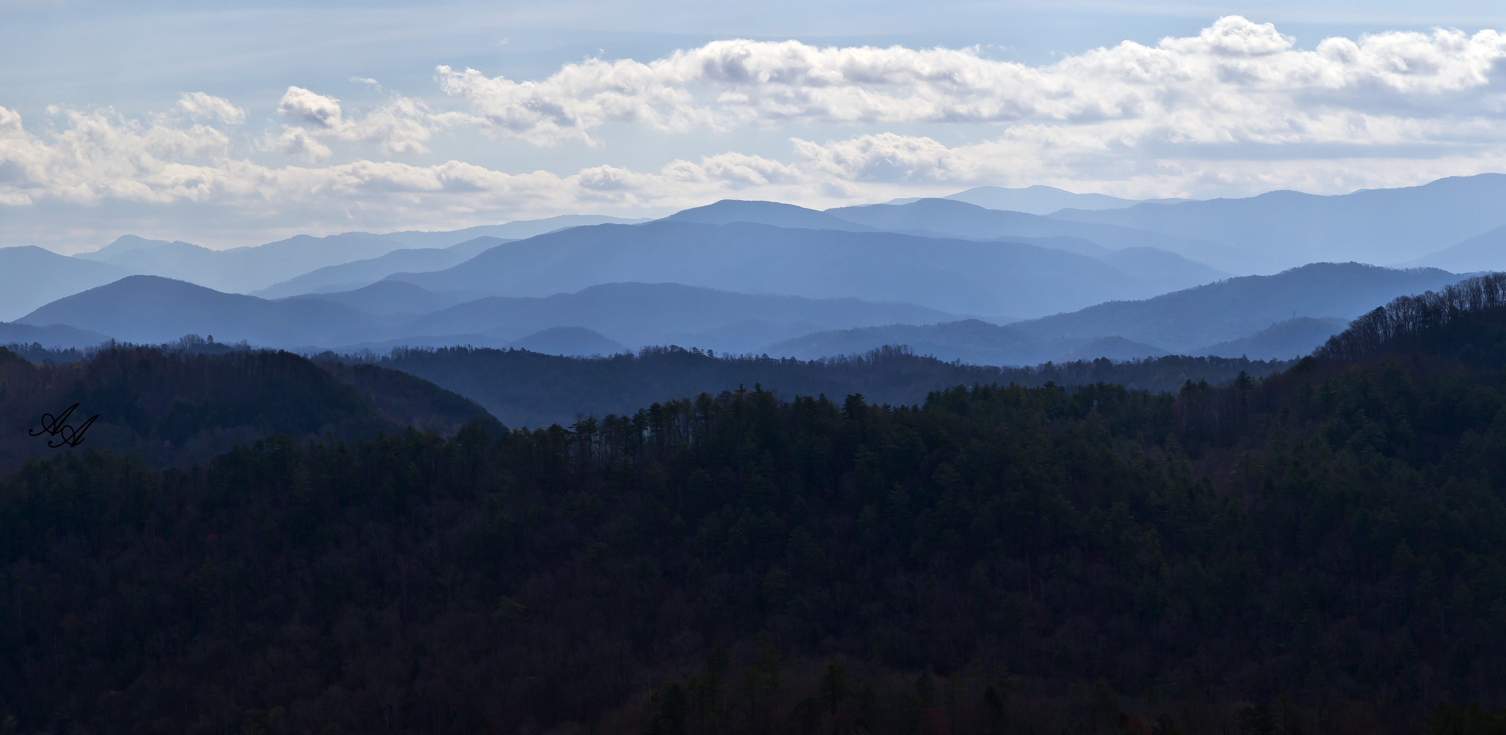 BlueRidgeParkwayTellico_Q8Z0774