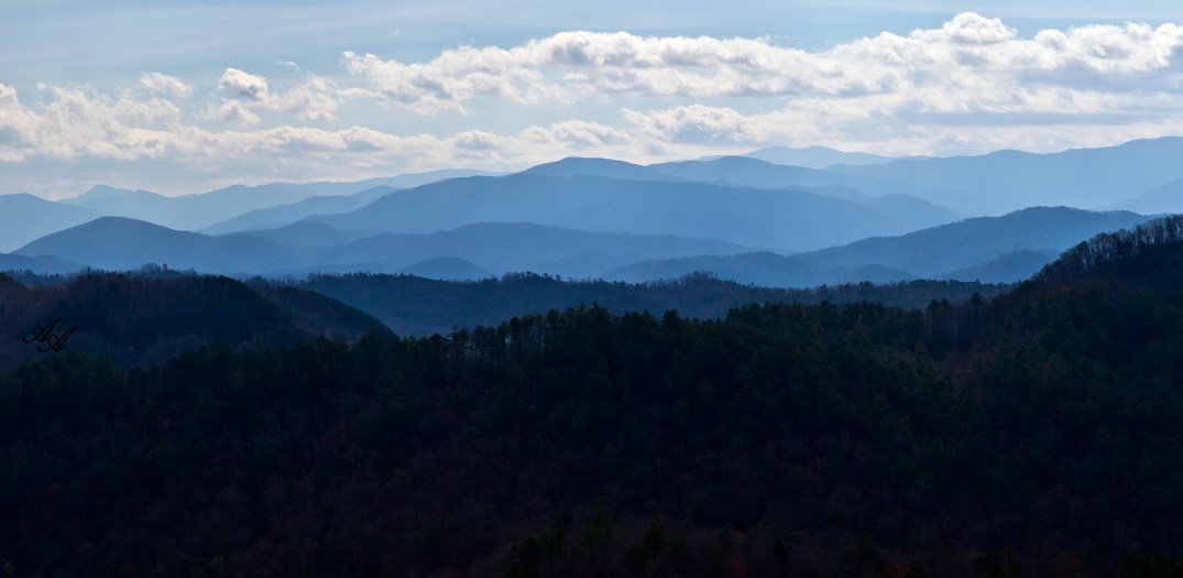 BlueRidgeParkwayTellico_Q8Z0774