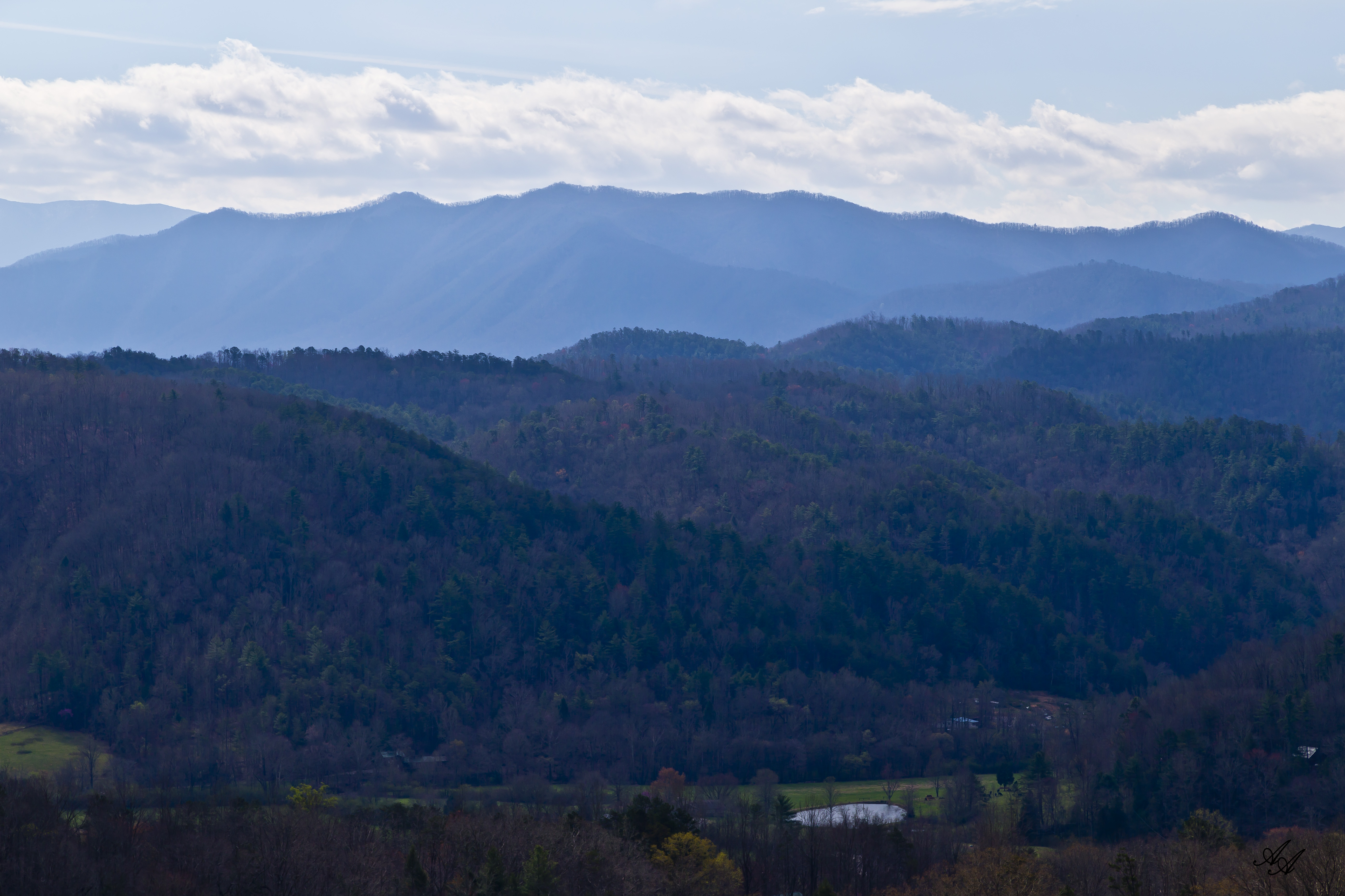 BlueRidgeParkwayTellico_Q8Z0775