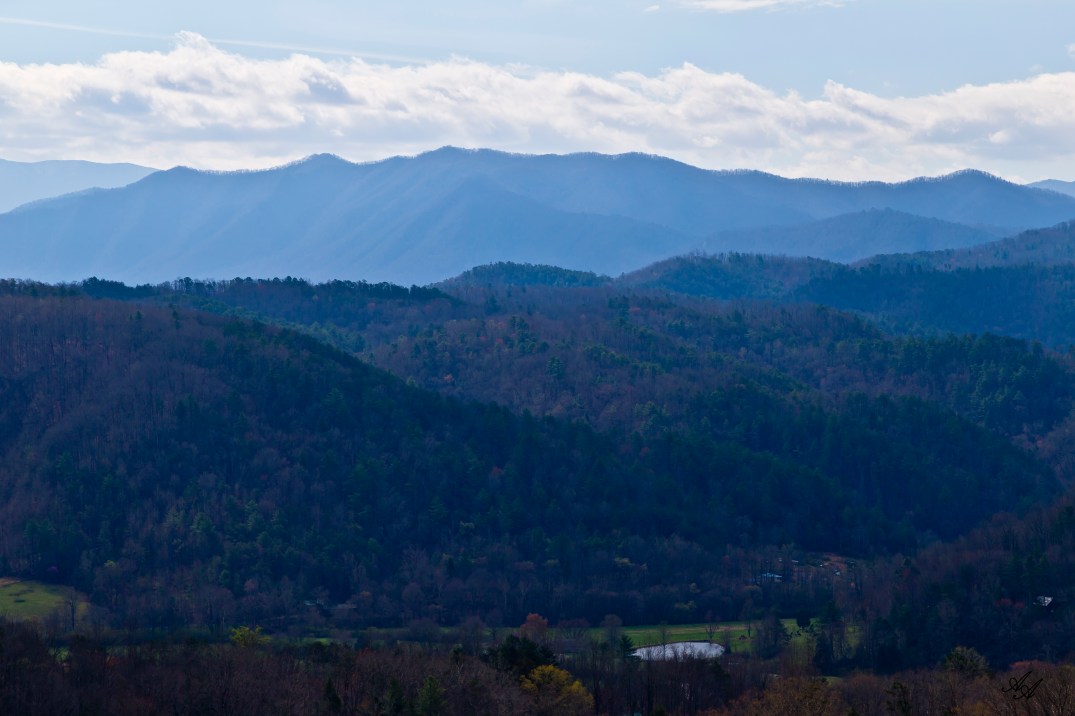 BlueRidgeParkwayTellico_Q8Z0775