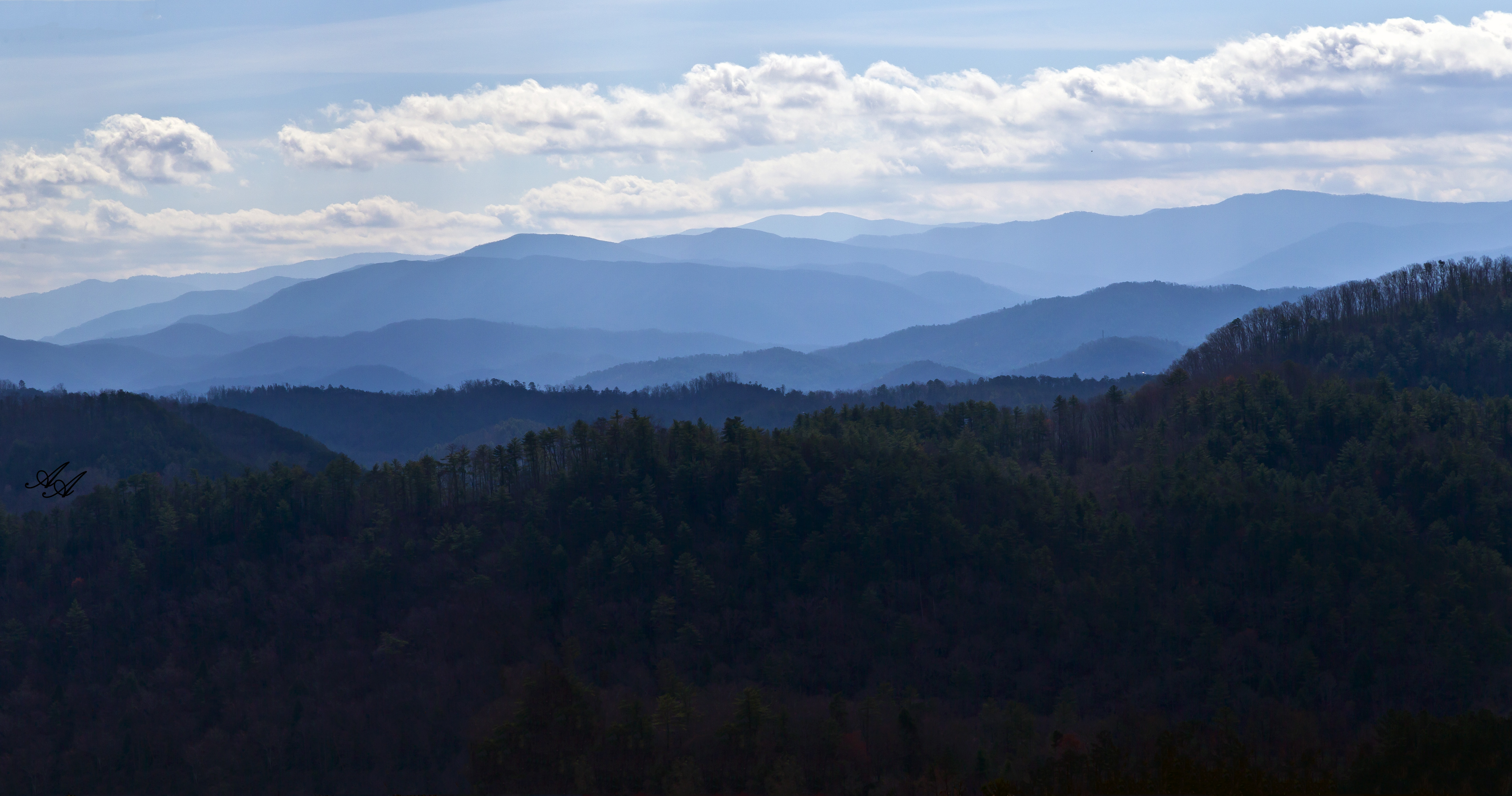 BlueRidgeParkwayTellico_Q8Z0776