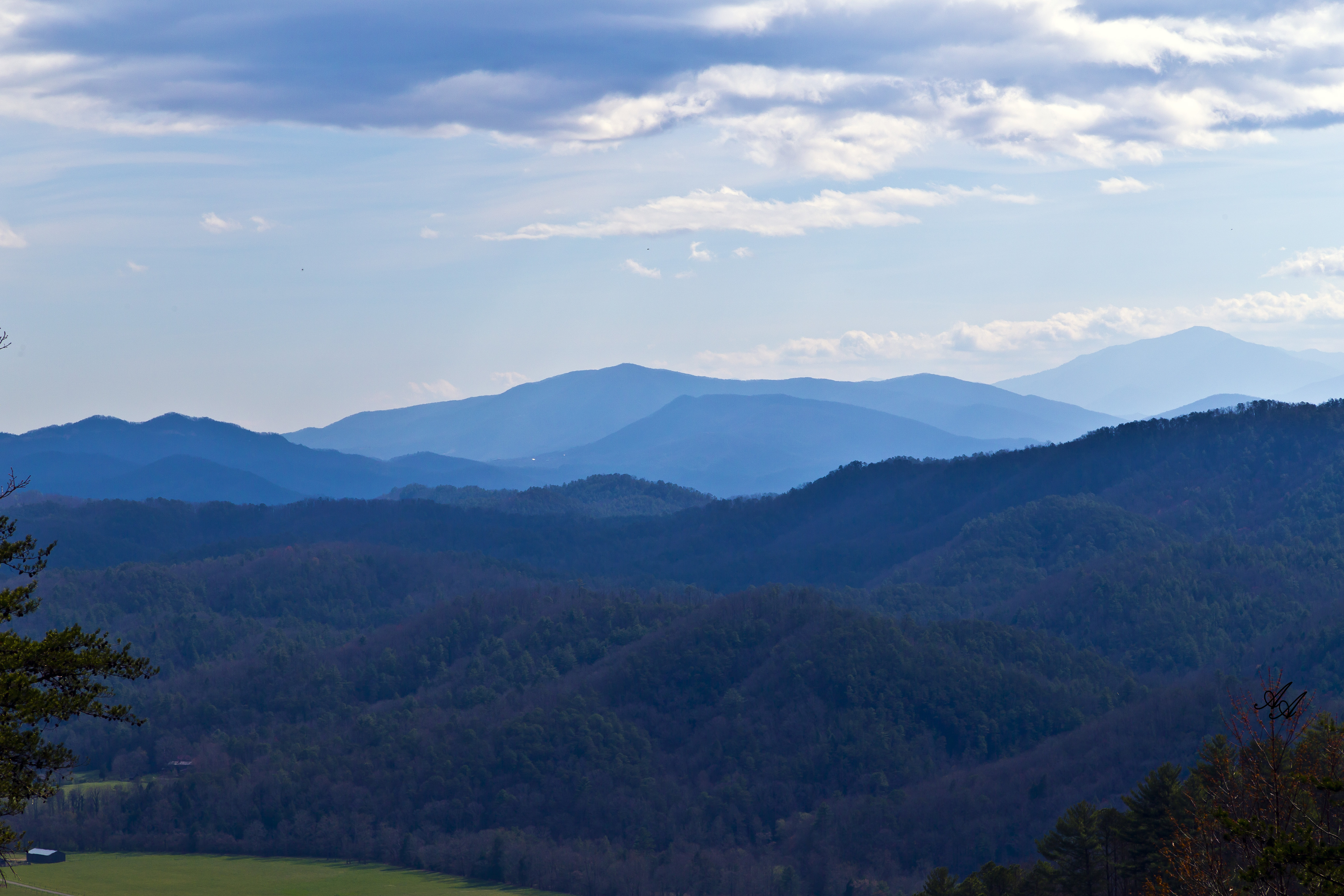 BlueRidgeParkwayTellico_Q8Z0778