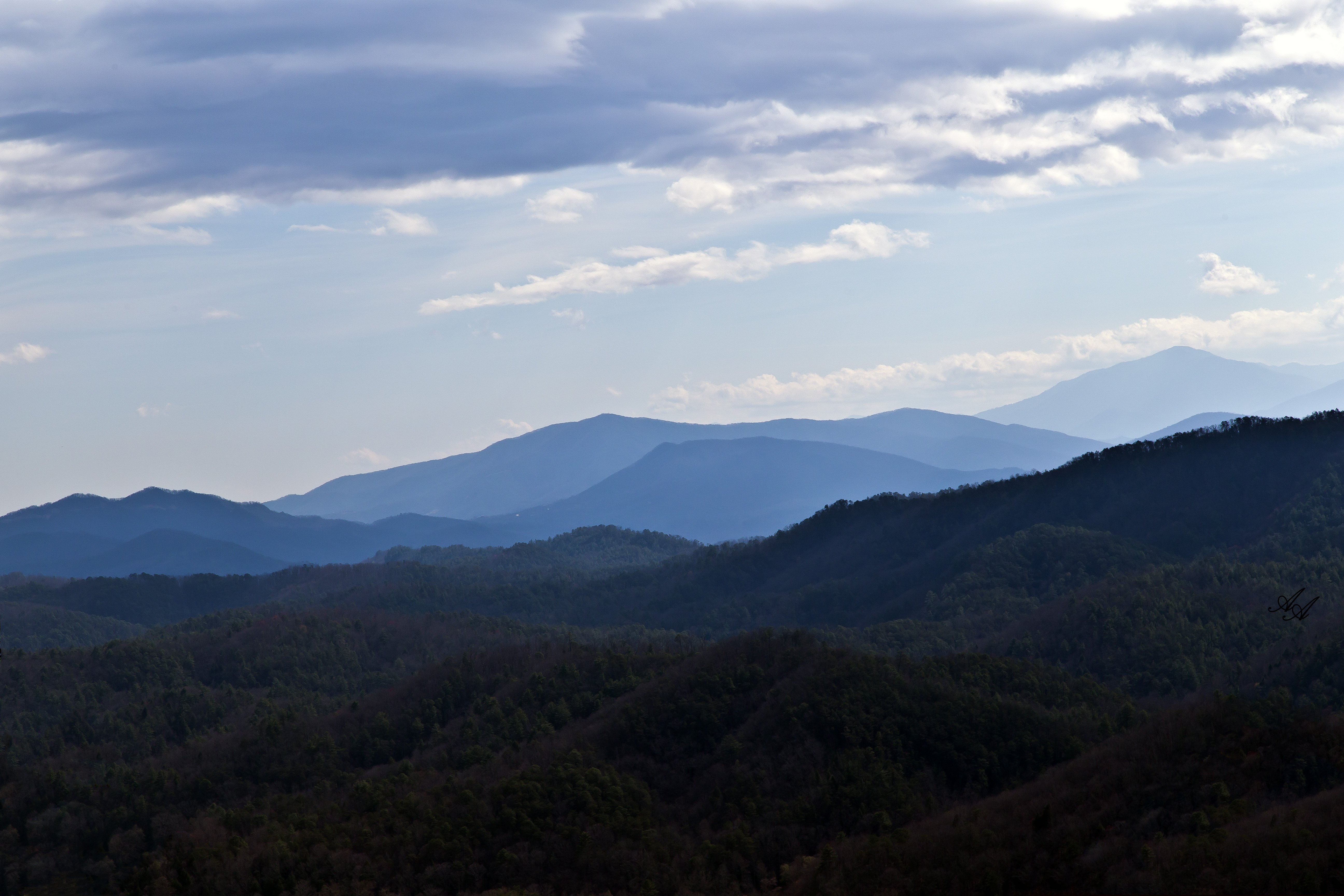 BlueRidgeParkwayTellico_Q8Z0782