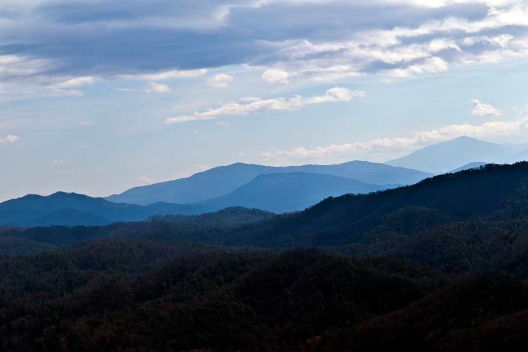 BlueRidgeParkwayTellico_Q8Z0782