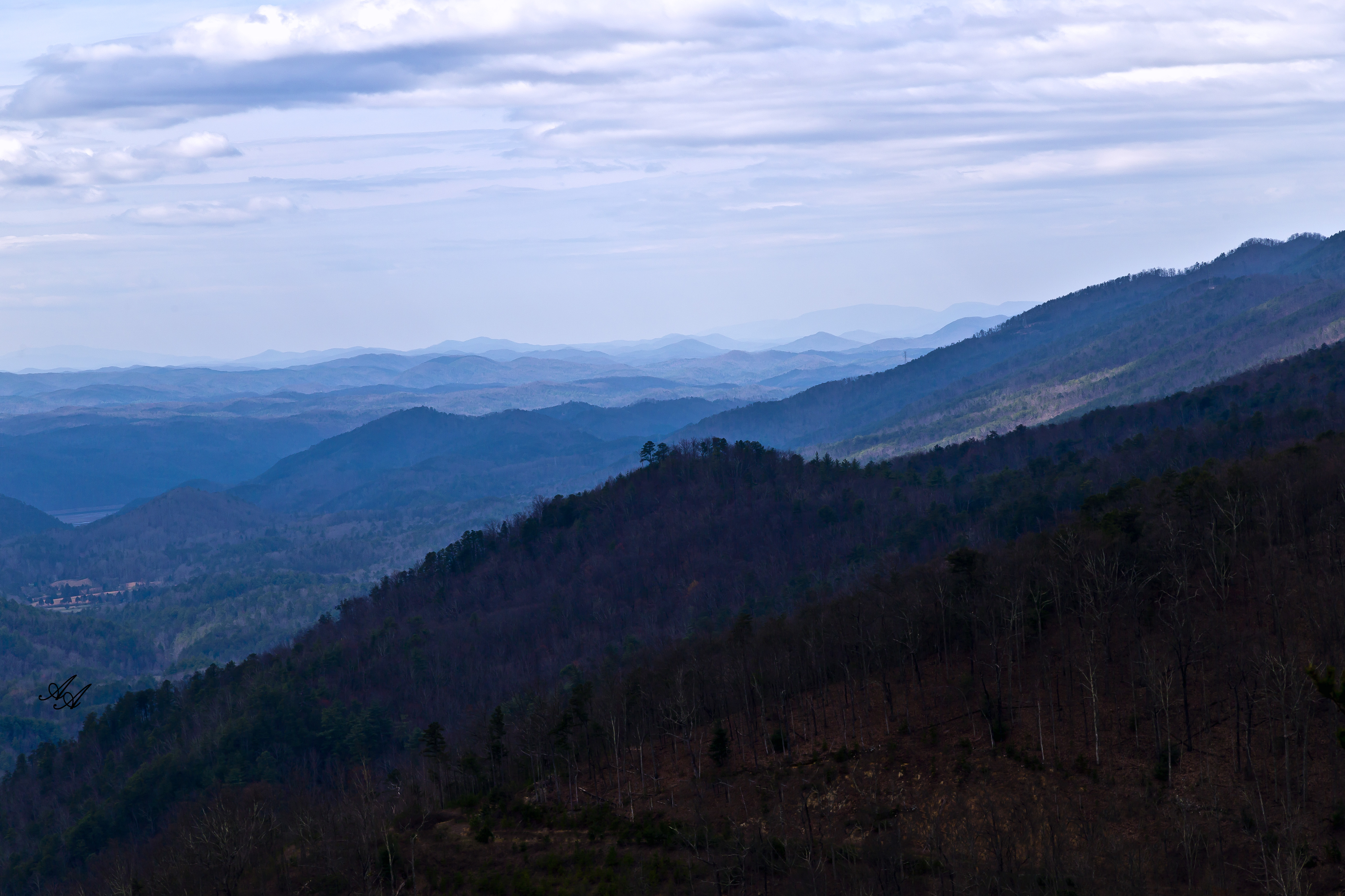 BlueRidgeParkwayTellico_Q8Z0786