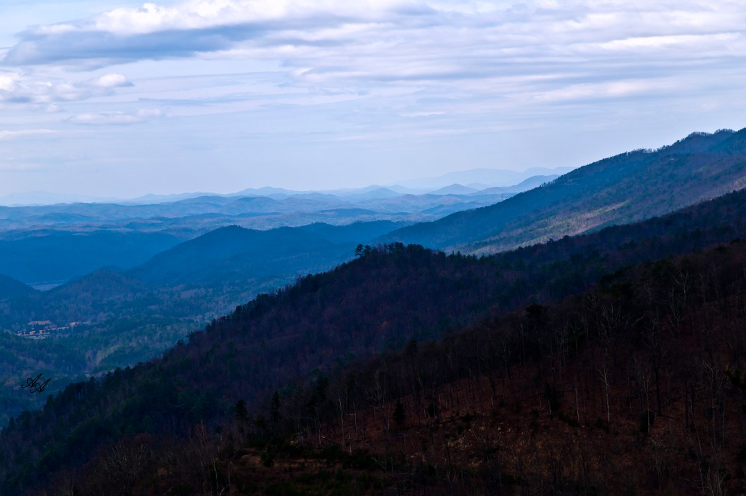 BlueRidgeParkwayTellico_Q8Z0786