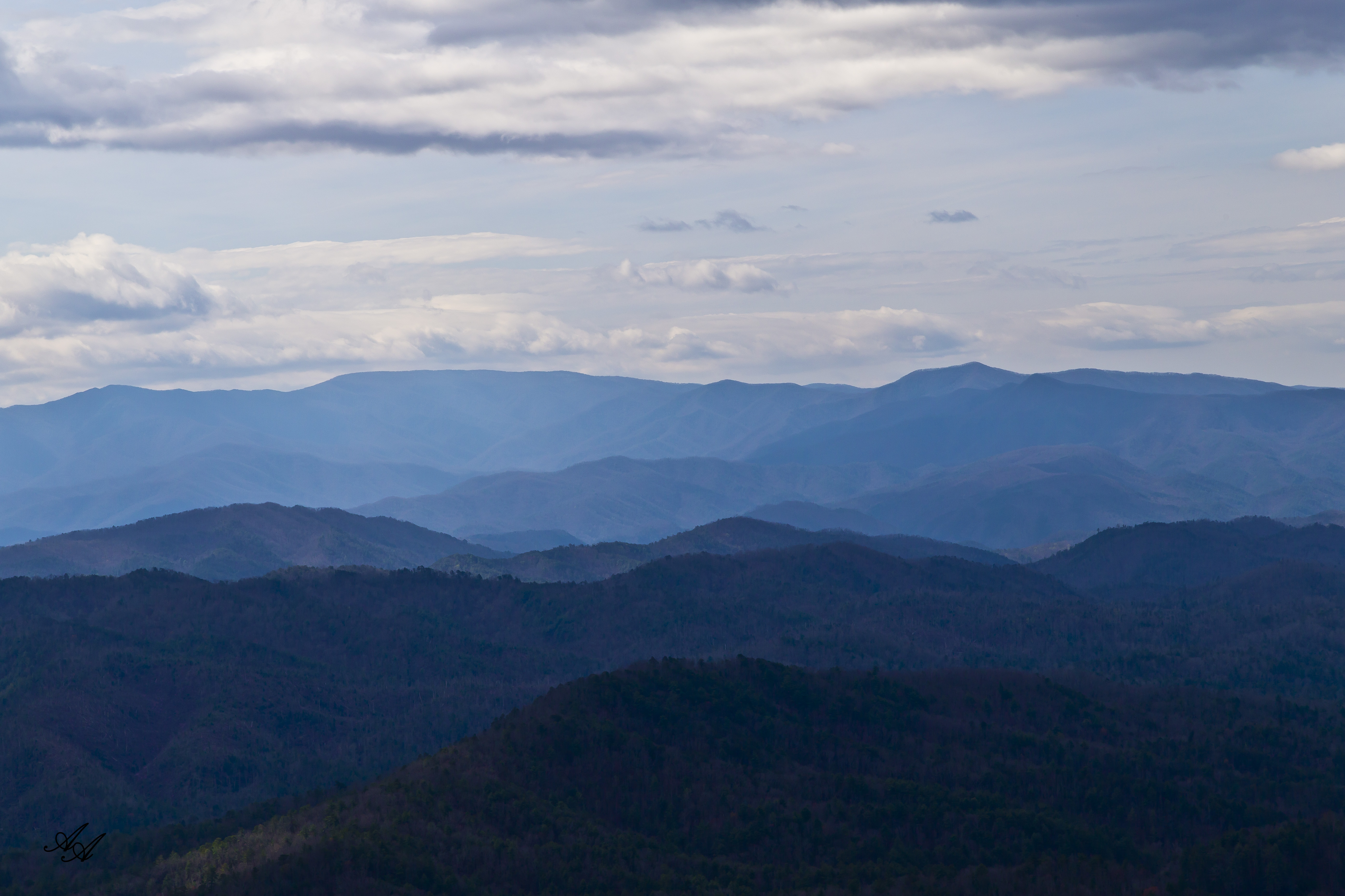 BlueRidgeParkwayTellico_Q8Z0789