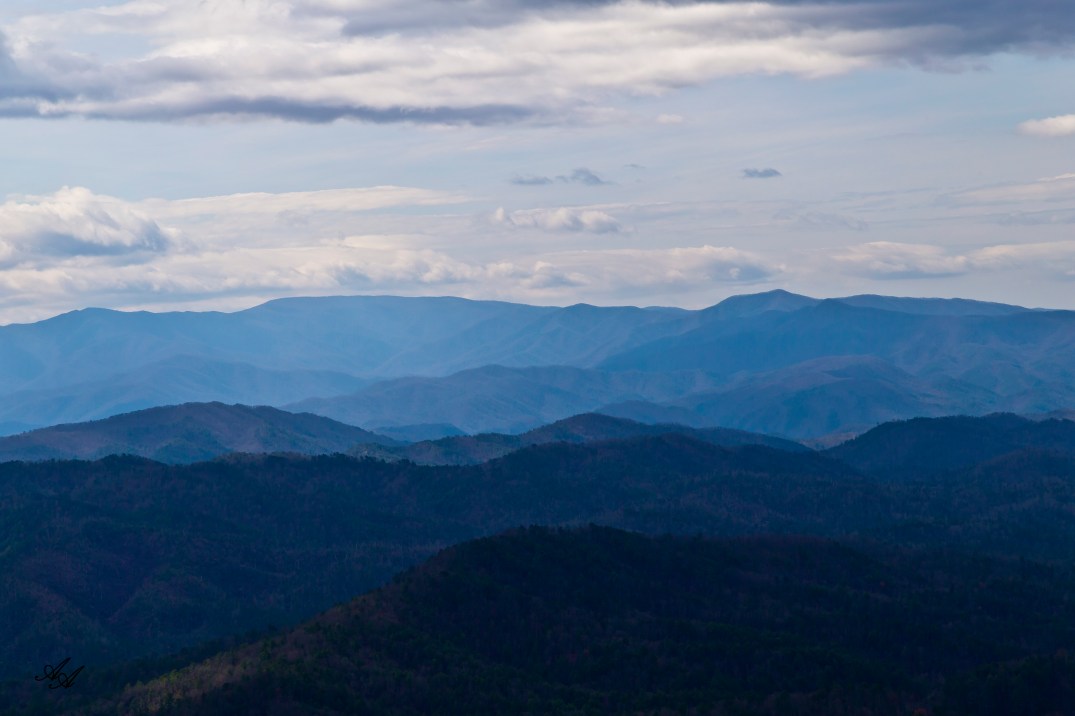 BlueRidgeParkwayTellico_Q8Z0789