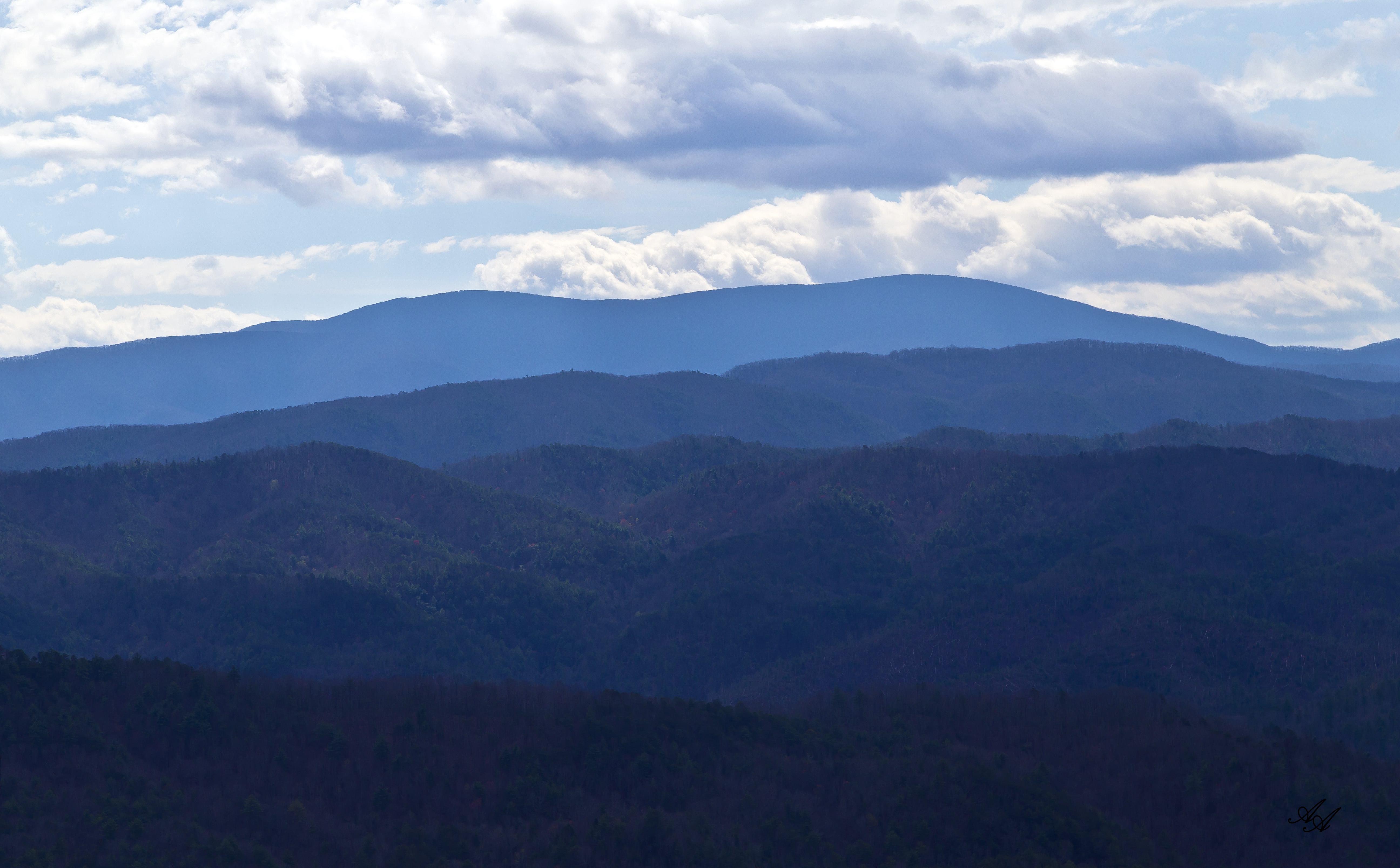 BlueRidgeParkwayTellico_Q8Z0790