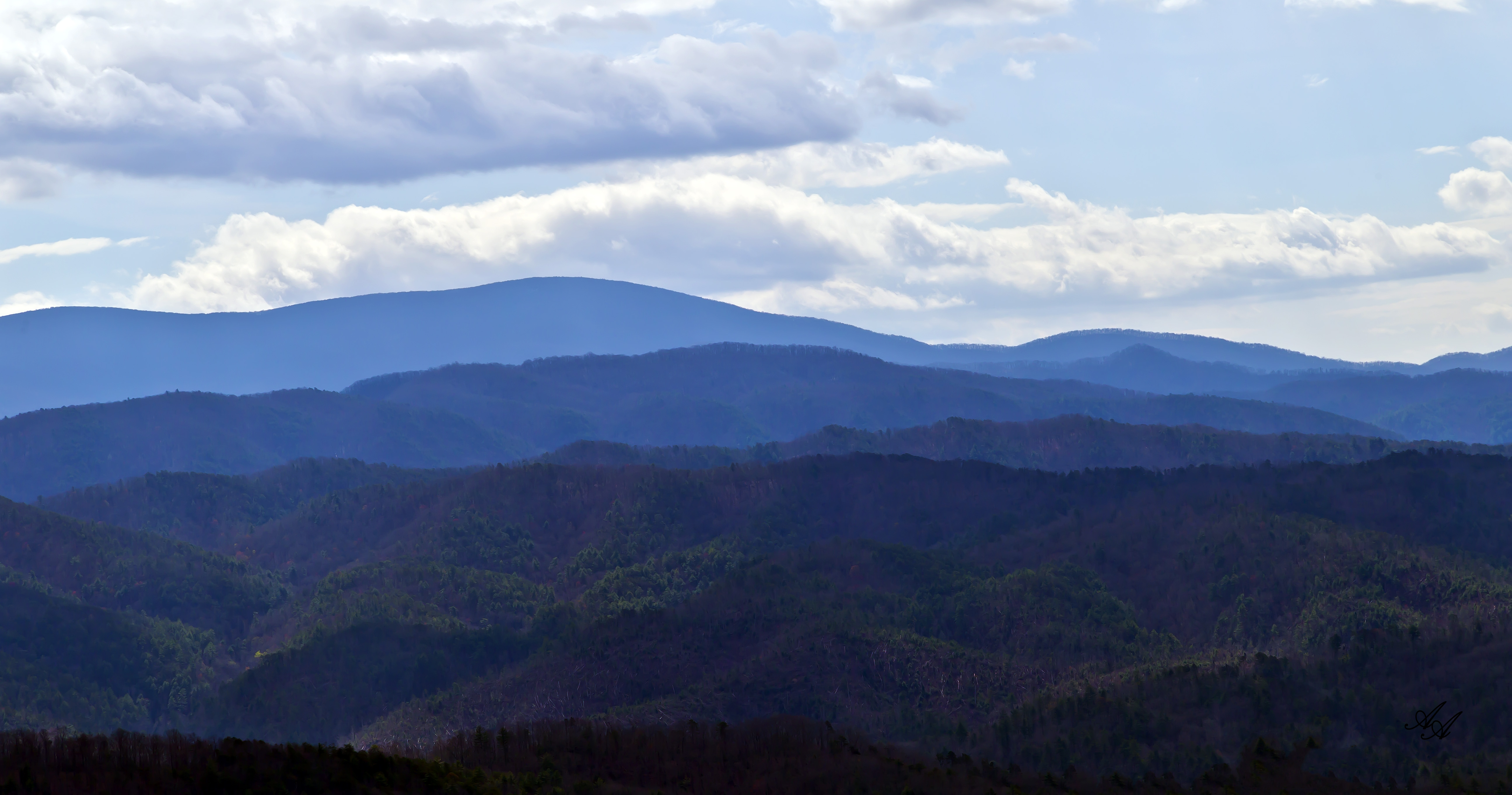 BlueRidgeParkwayTellico_Q8Z0793