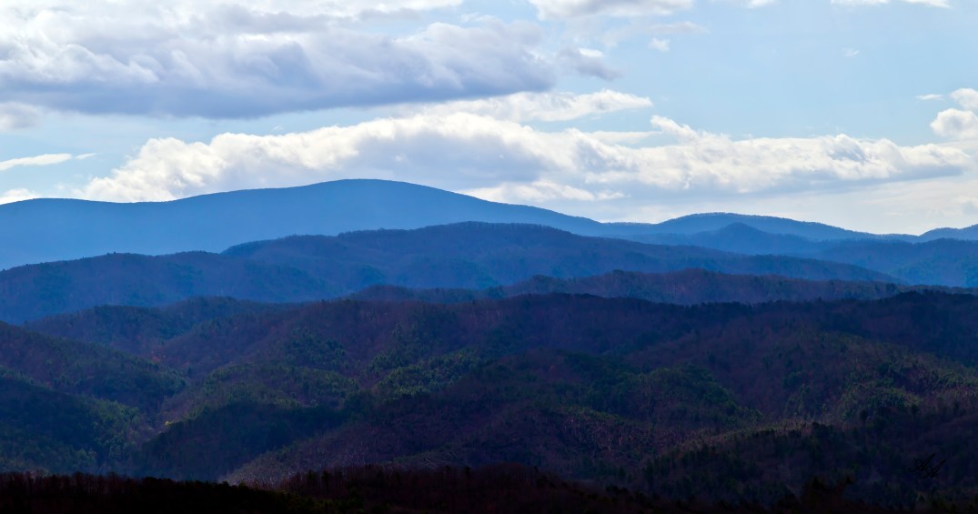 BlueRidgeParkwayTellico_Q8Z0793