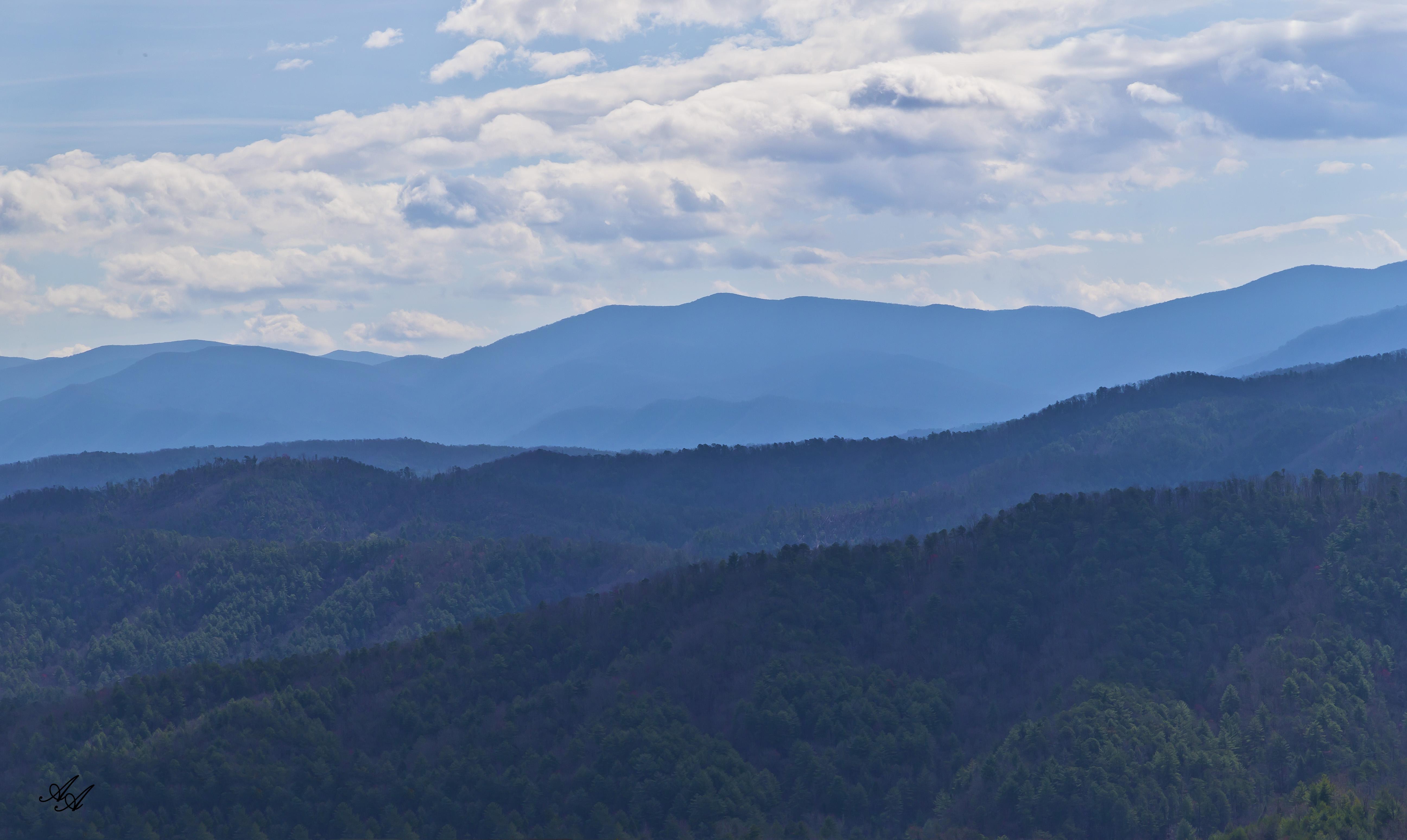 BlueRidgeParkwayTellico_Q8Z0800