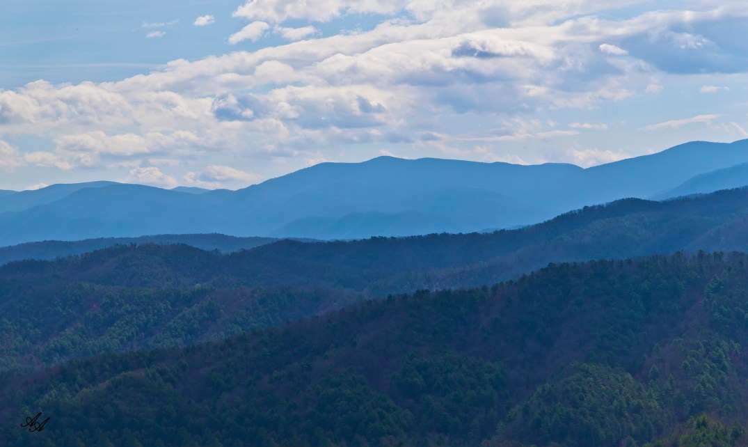 BlueRidgeParkwayTellico_Q8Z0800