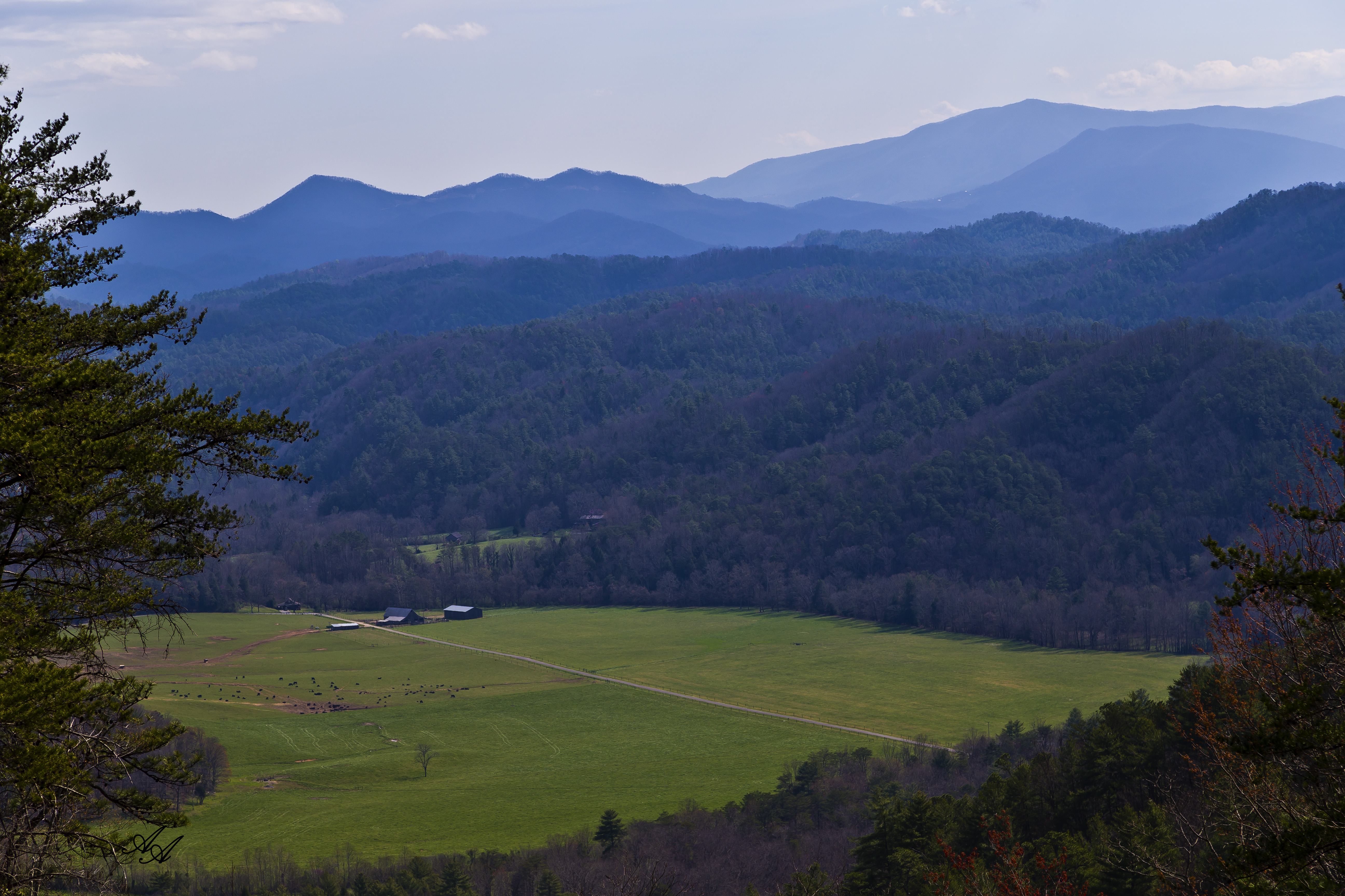 BlueRidgeParkwayTellicoFarm_Q8Z0781