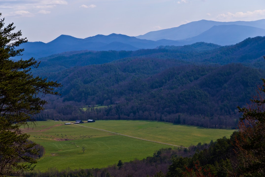 BlueRidgeParkwayTellicoFarm_Q8Z0781