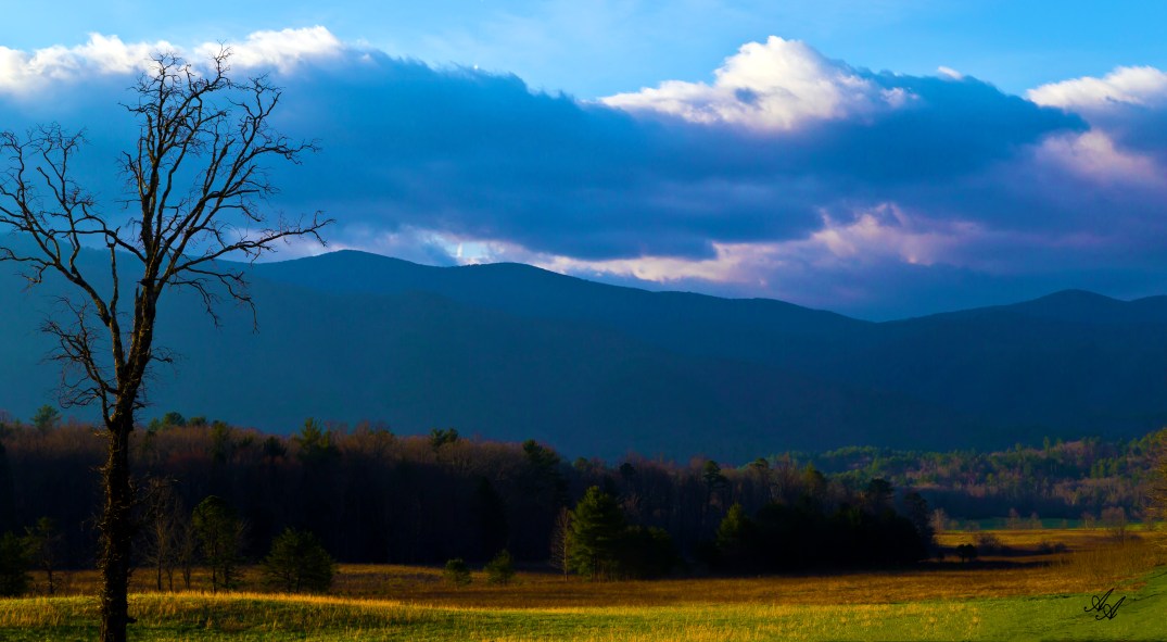 CadeCoveMountainMorning_Q8Z0719