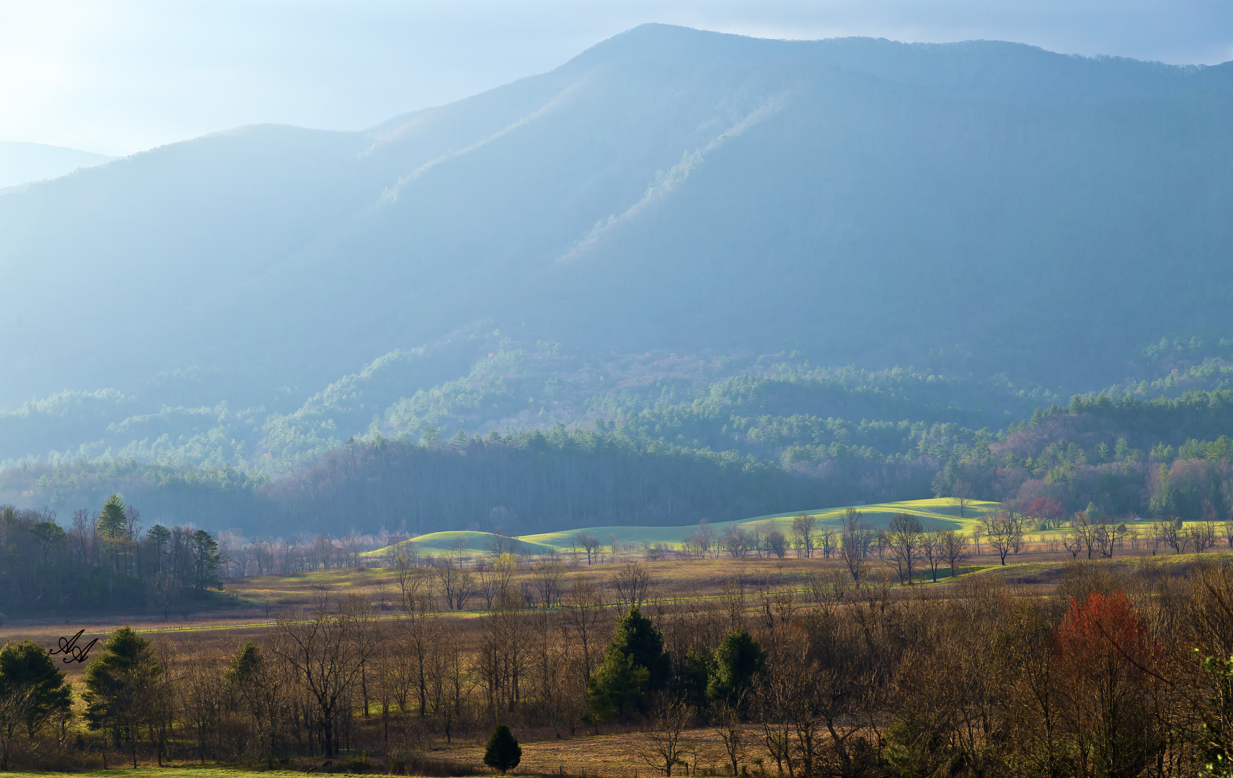 CadesCoveMistyMorning_Q8Z0725