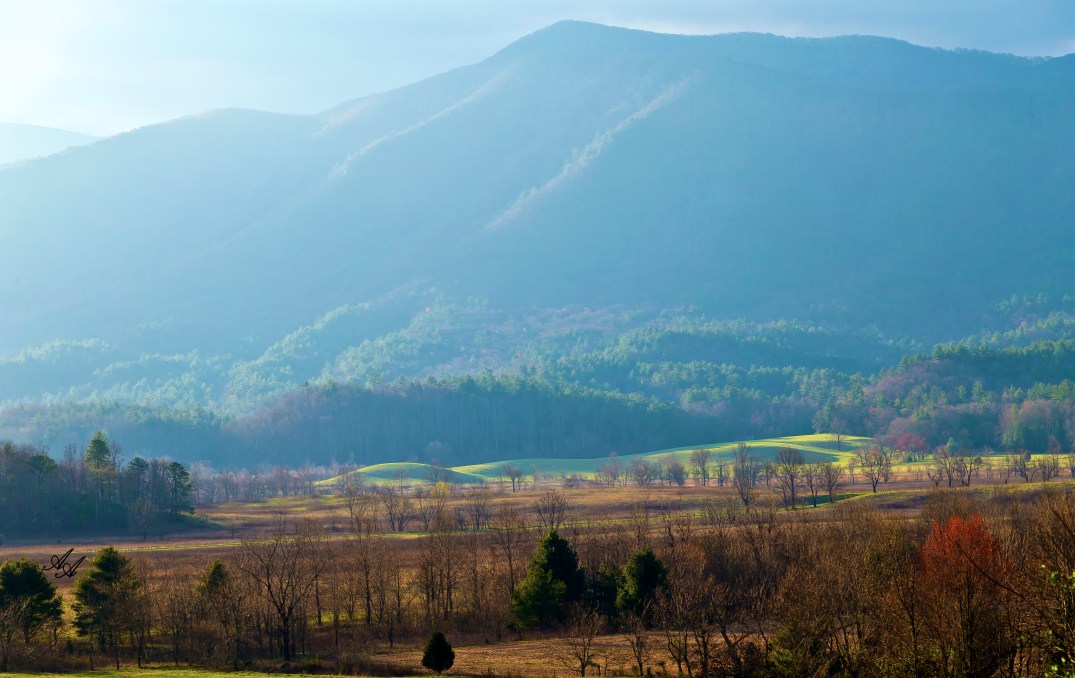 CadesCoveMistyMorning_Q8Z0725