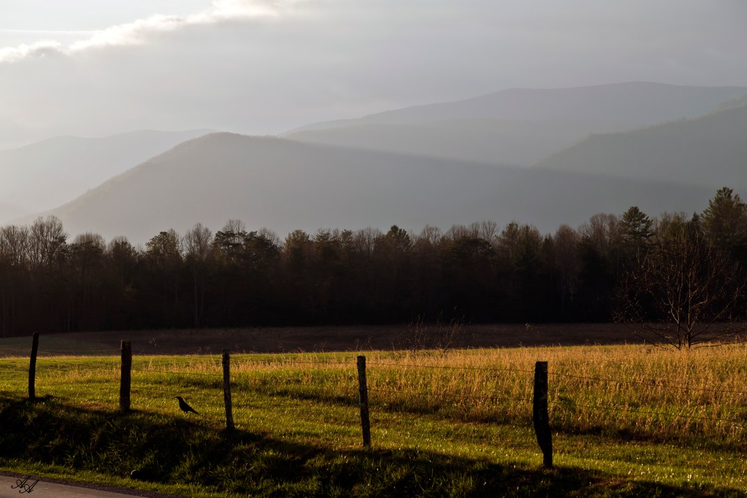 CCCrowMtnSuntrise_Q8Z0713