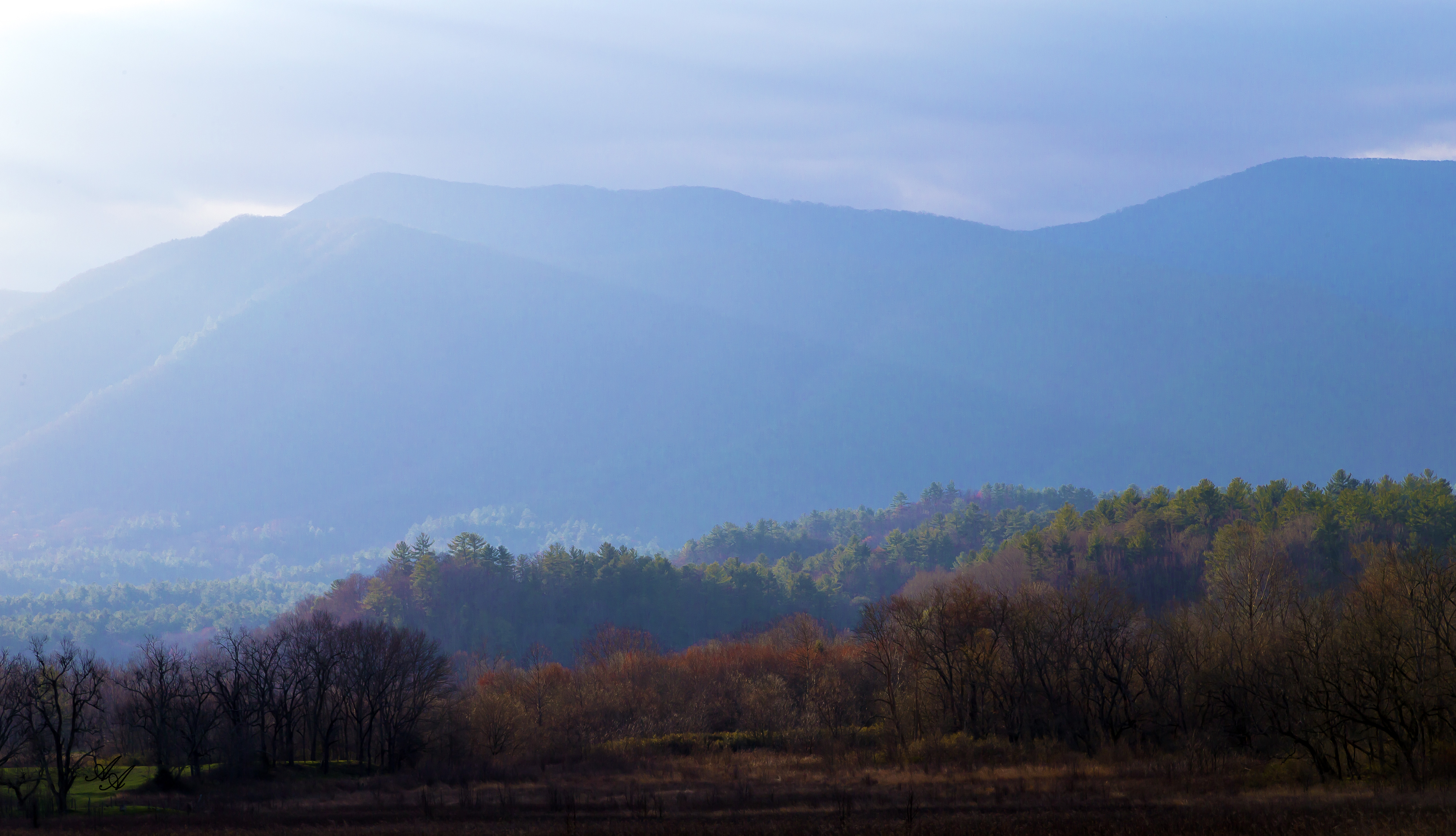 CCMountainMorning_Q8Z0733