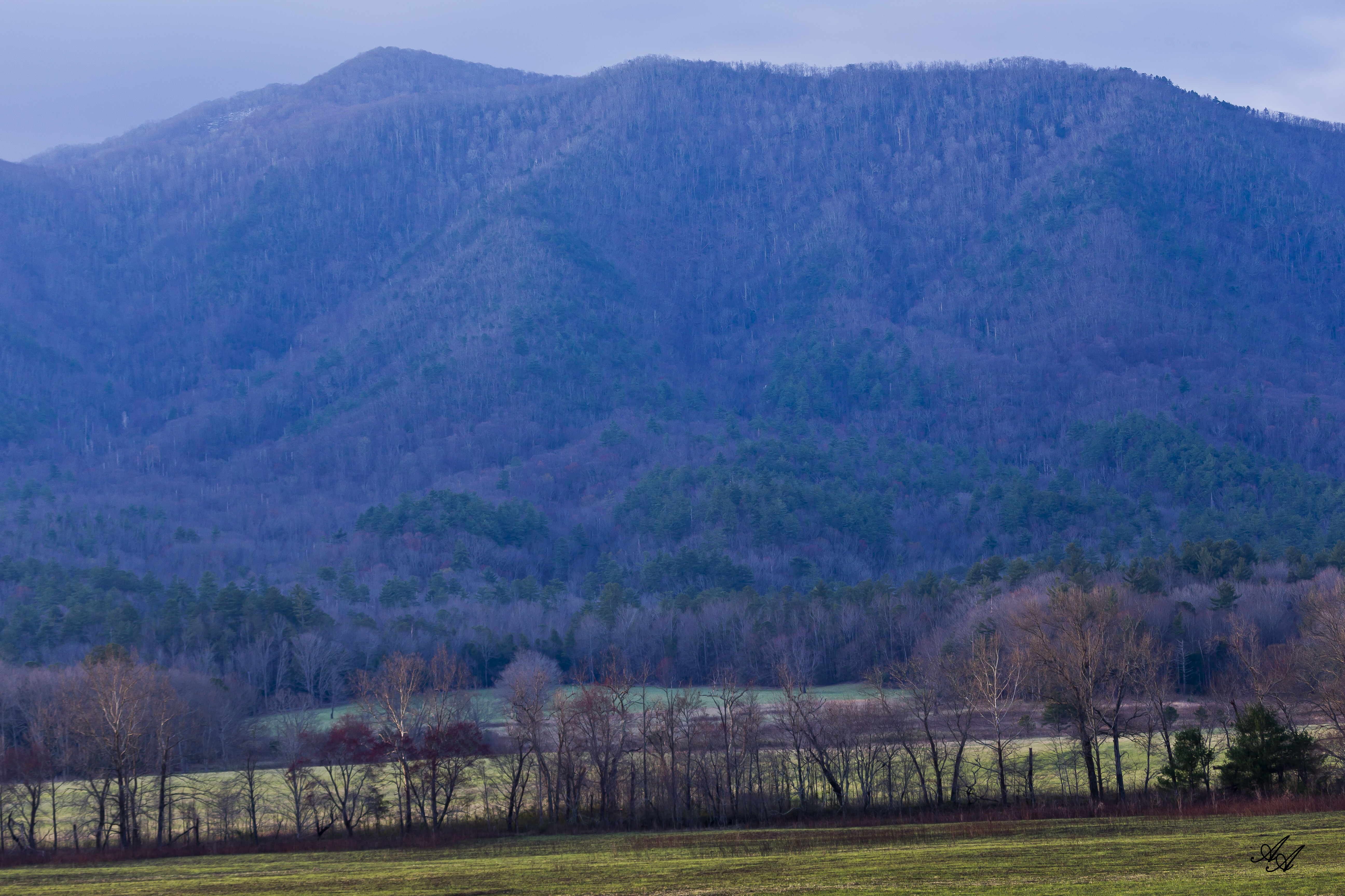 CjadesCoveMtn_Q8Z0709