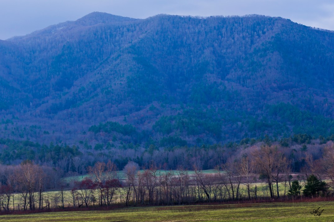 CjadesCoveMtn_Q8Z0709