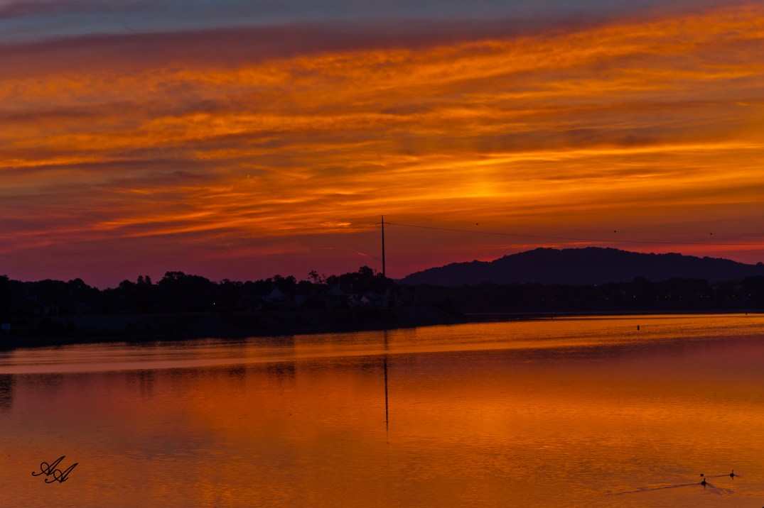 SunriseMay312016_Q8Z1344